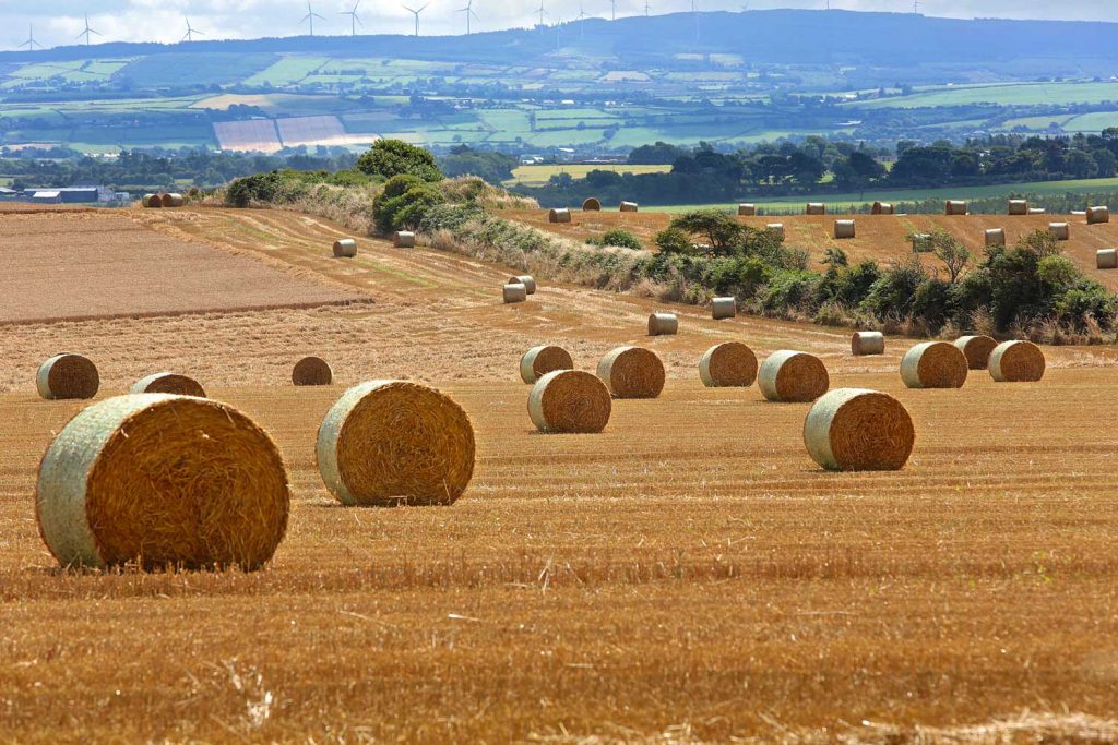 Bales of Hay on the way to Tralee - Photo Credit Valerie O'Sullivan Photography